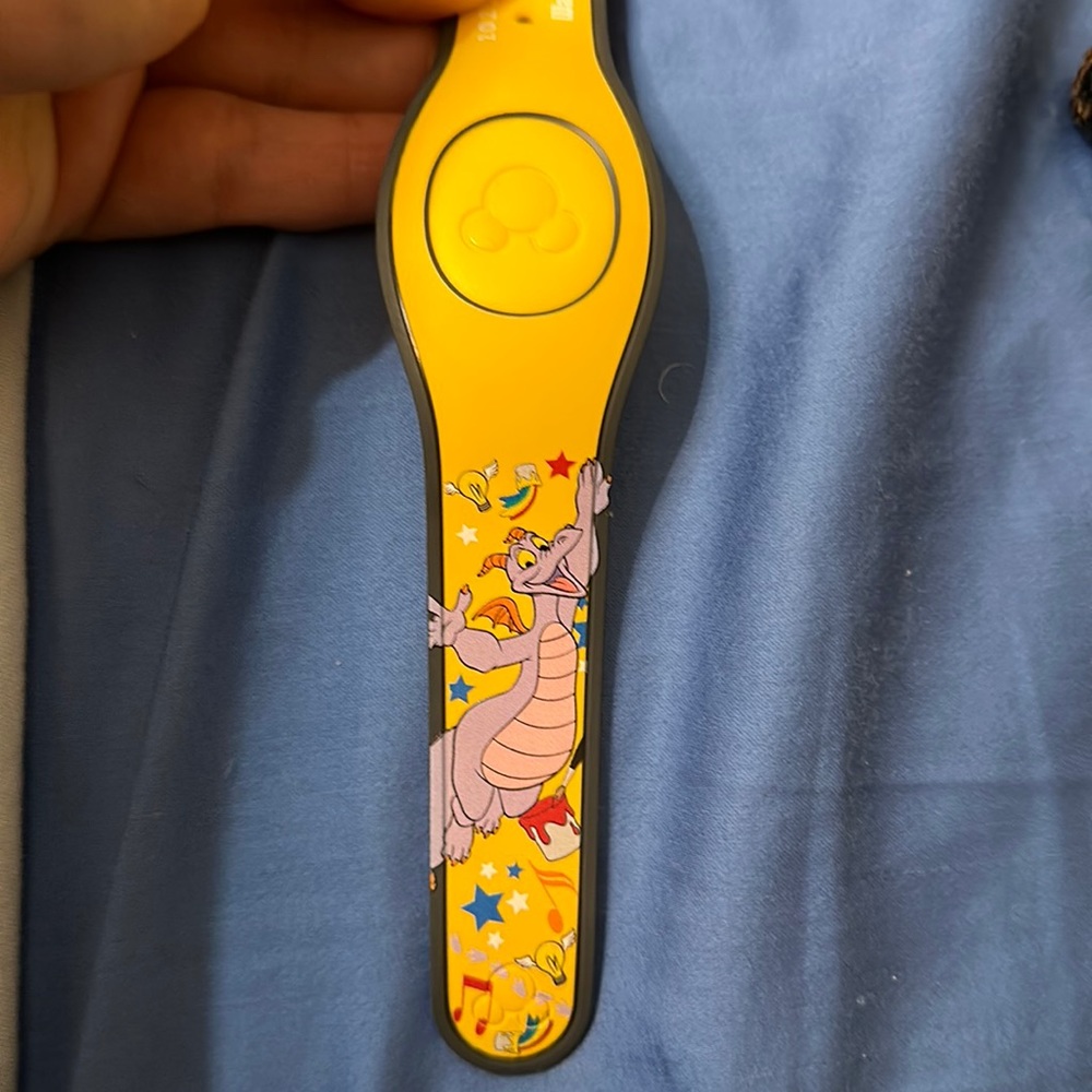 Limited Release Magic Band Annual Pass Holder ONLY
